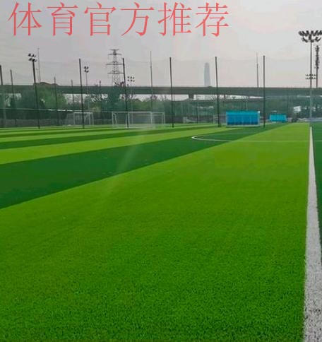 “全民健身线上运动会—全民足球挑战”等你来参与 “全民健身线上运动会—全民足球挑战”等你来参与