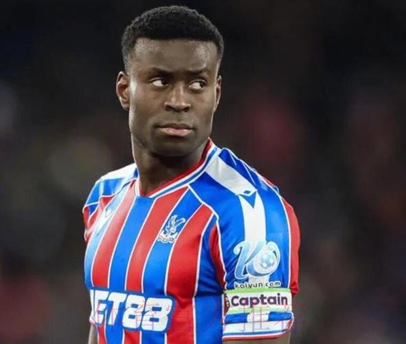 太阳报独家：卖格伊后水晶宫追逐费内巴切后卫奥斯特沃尔德